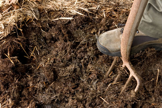 Adding mulch to trees and shrubs reduces moisture loss from the soil.